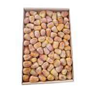 ⁦مفتل ملكي 3 كجم⁩ - الصورة ⁦2⁩